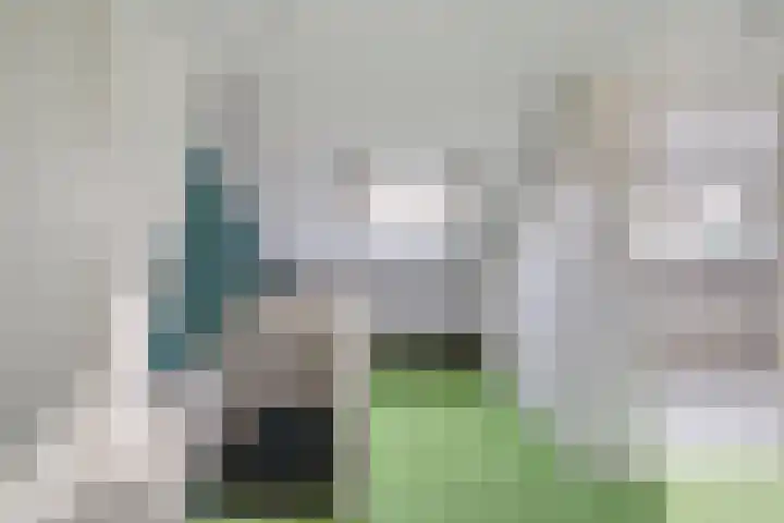 Badinckstraat 21 Dalfsen thumbnail 25