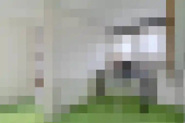 Badinckstraat 21 Dalfsen thumbnail 26