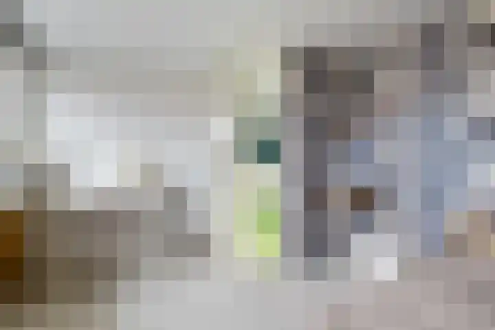 Badinckstraat 21 Dalfsen thumbnail 28