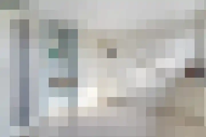 Badinckstraat 21 Dalfsen thumbnail 30