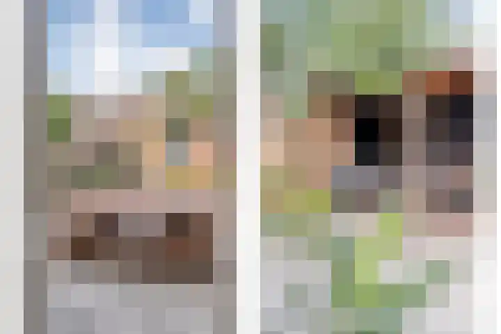 Badinckstraat 21 Dalfsen thumbnail 33