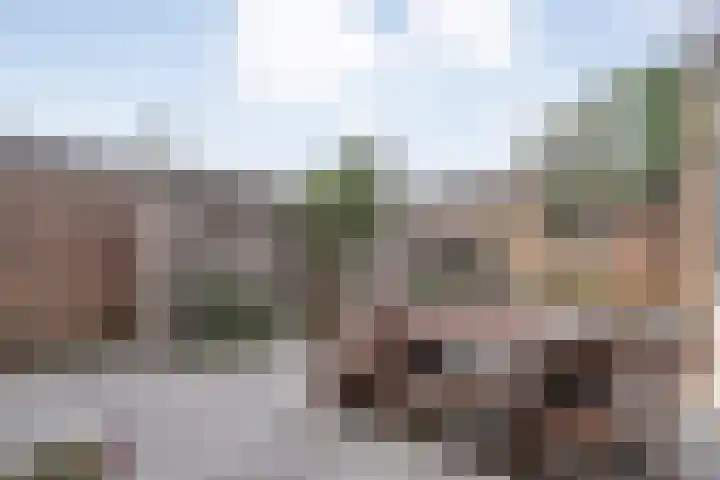 Badinckstraat 21 Dalfsen thumbnail 34