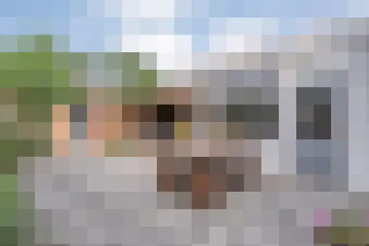 Badinckstraat 21 Dalfsen thumbnail 35