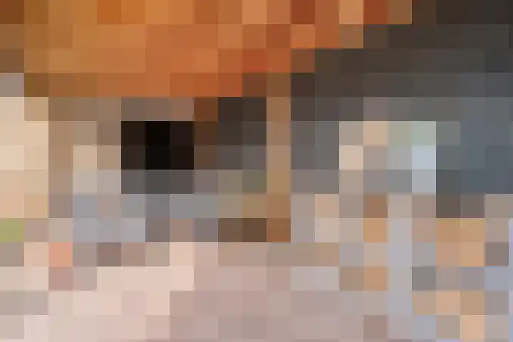 Badinckstraat 21 Dalfsen thumbnail 36
