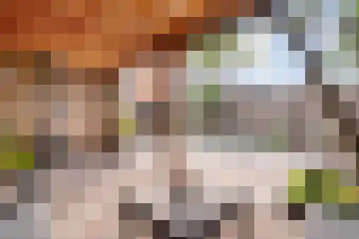 Badinckstraat 21 Dalfsen thumbnail 37