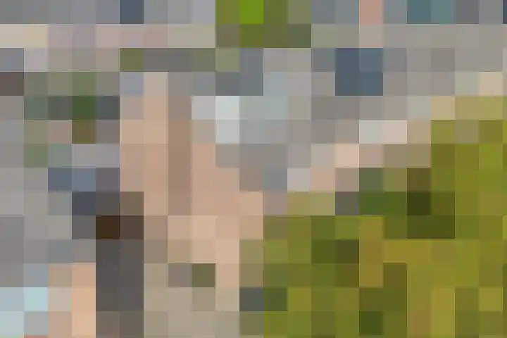Badinckstraat 21 Dalfsen thumbnail 38