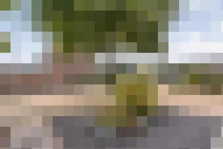 Badinckstraat 21 Dalfsen thumbnail 39