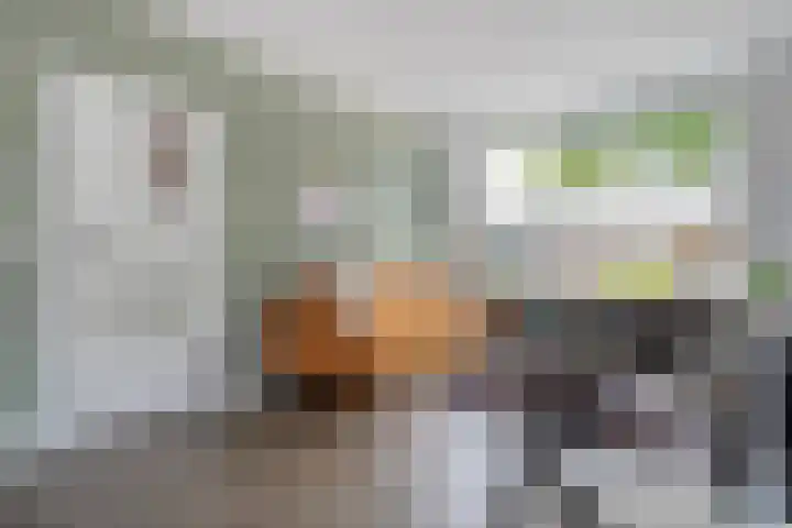 Badinckstraat 21 Dalfsen thumbnail 4