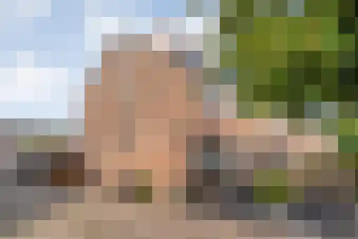 Badinckstraat 21 Dalfsen thumbnail 40