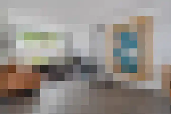 Badinckstraat 21 Dalfsen thumbnail 5