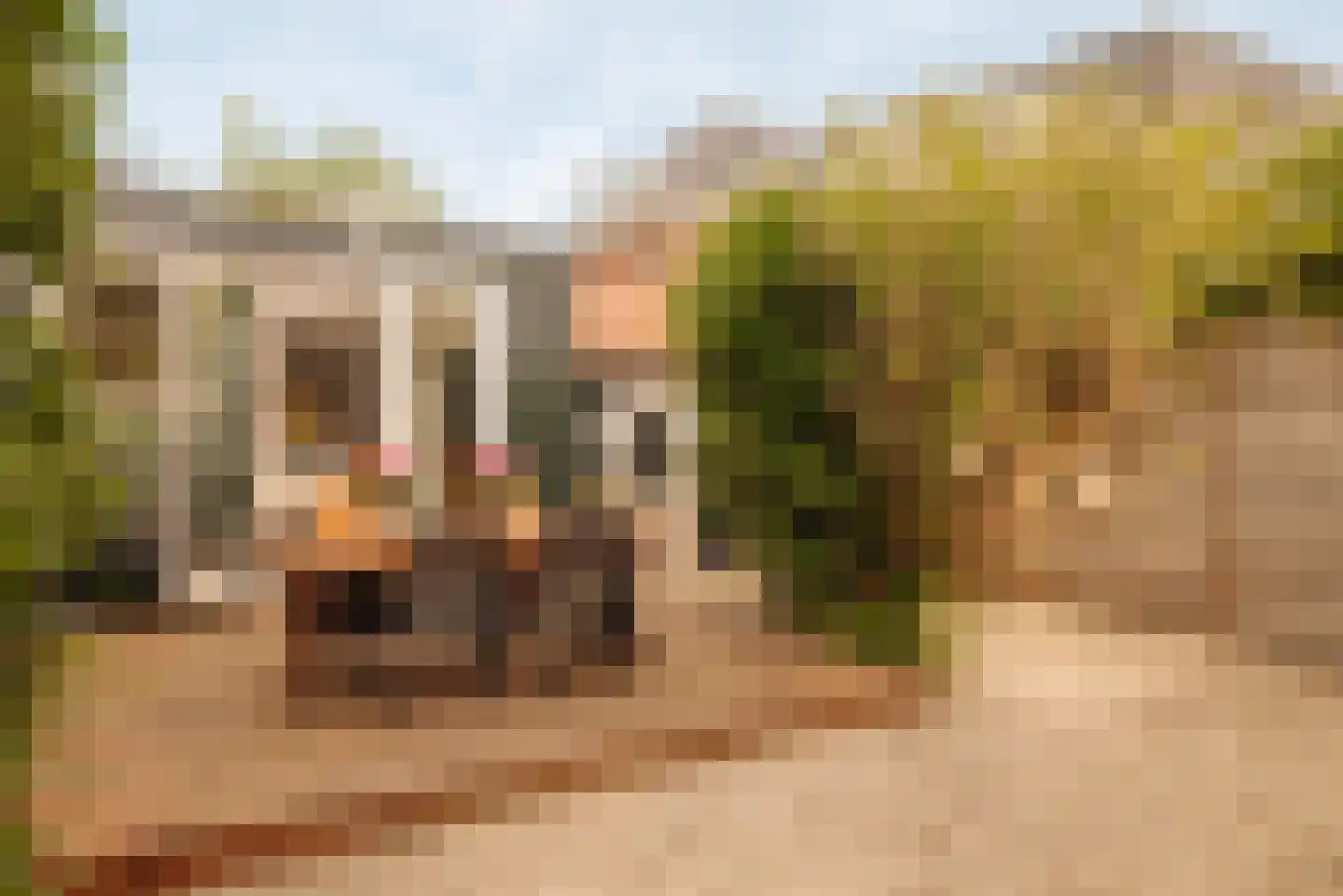 Badlaan 10 Amstelveen thumbnail 16