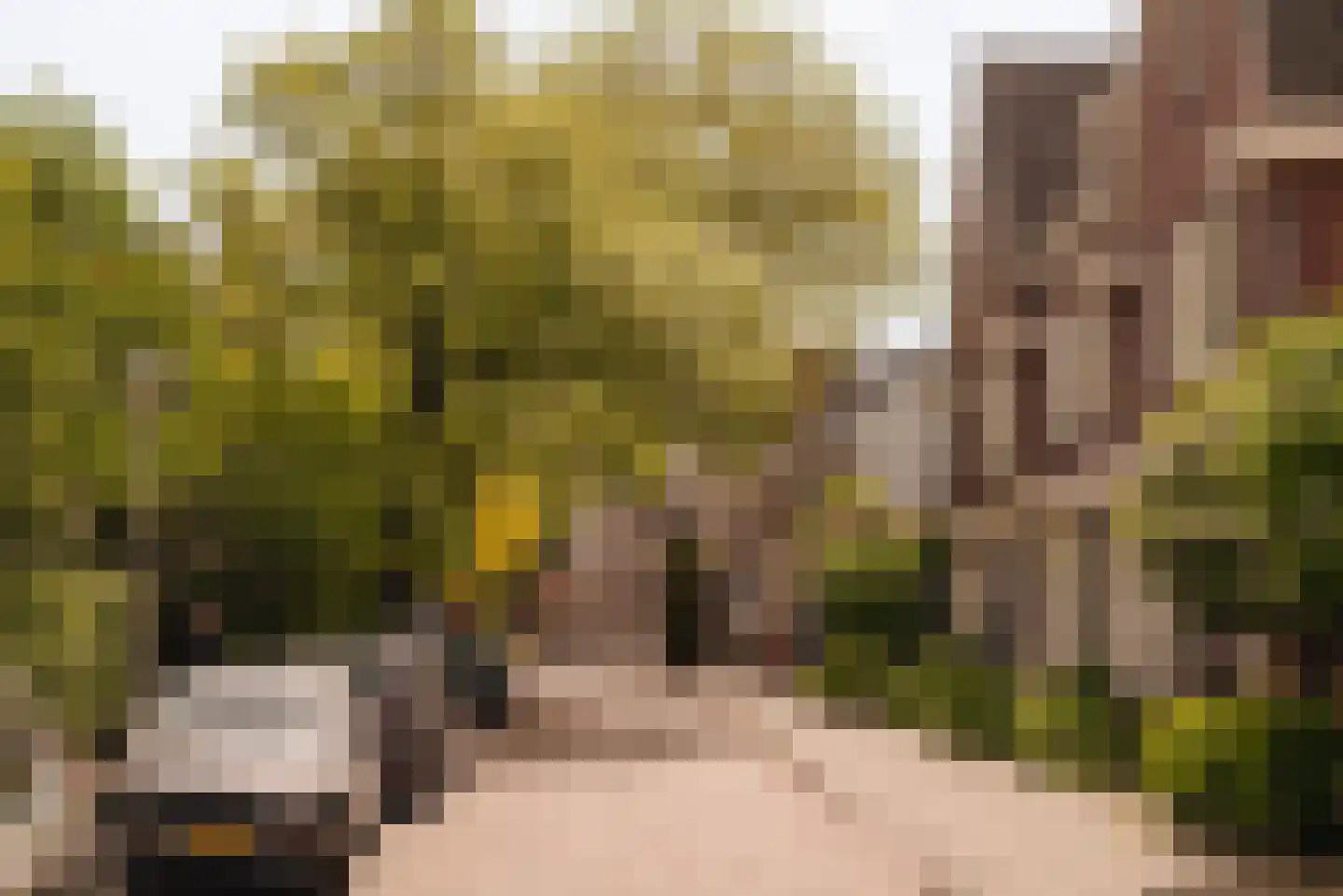 Badlaan 10 Amstelveen thumbnail 45