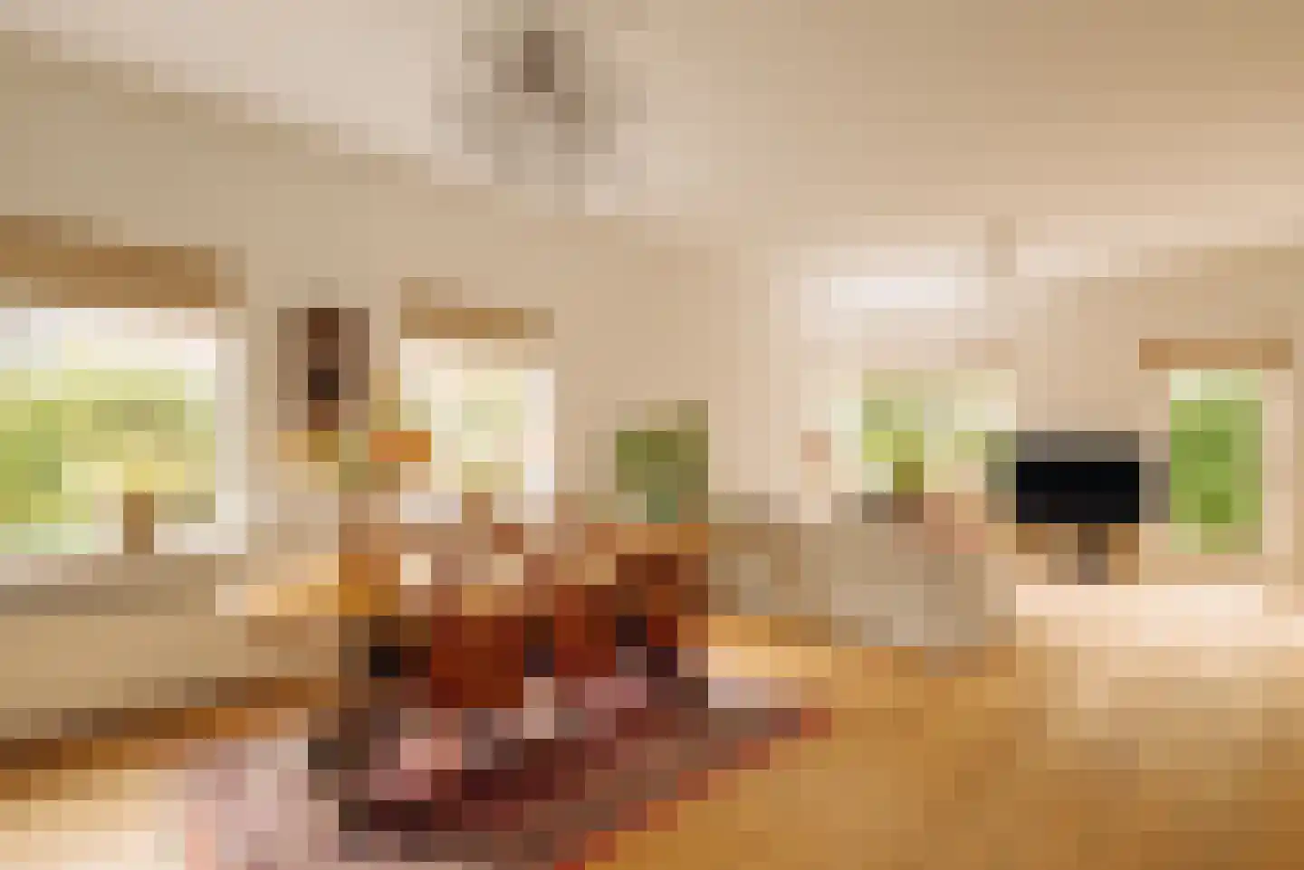 Badlaan 10 Amstelveen thumbnail 8