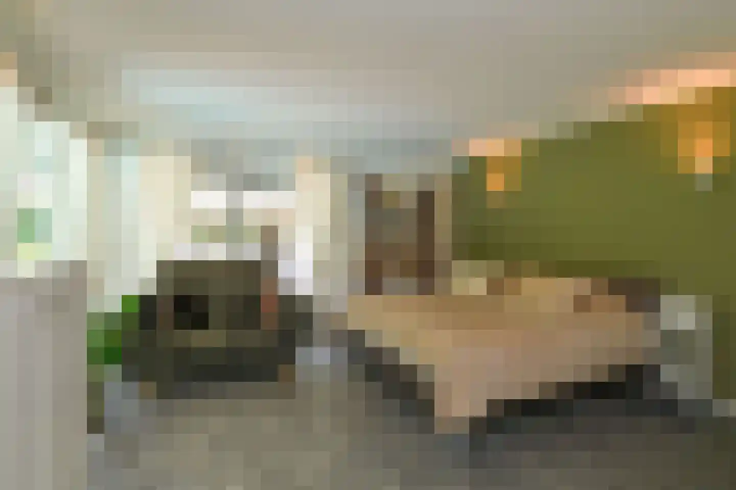 Badlaan 10 Doorwerth thumbnail 26