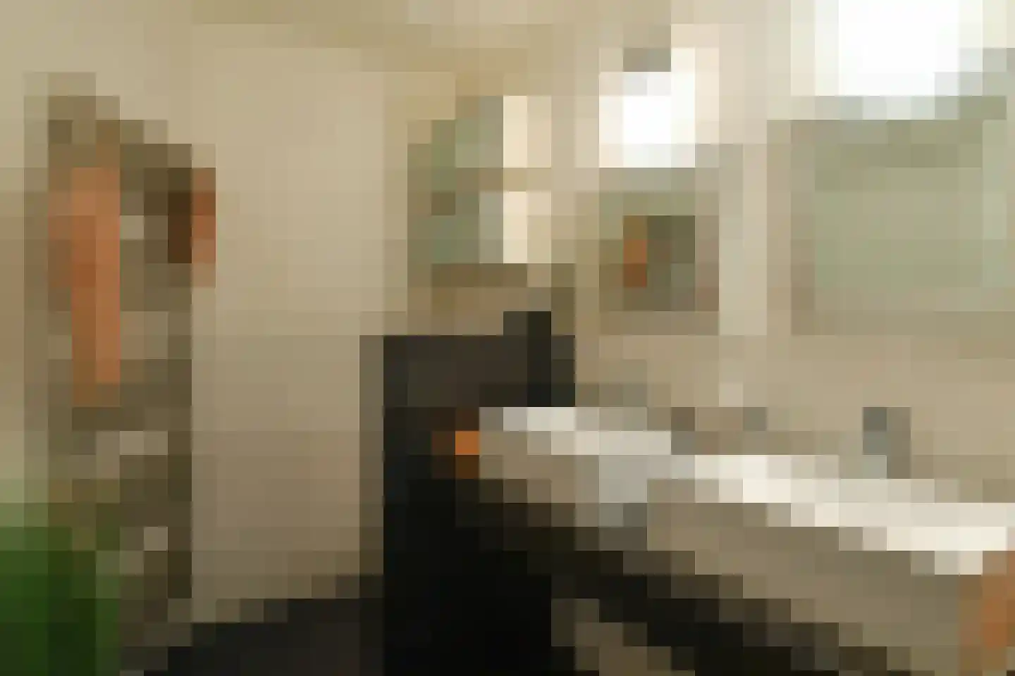 Badlaan 10 Doorwerth thumbnail 38