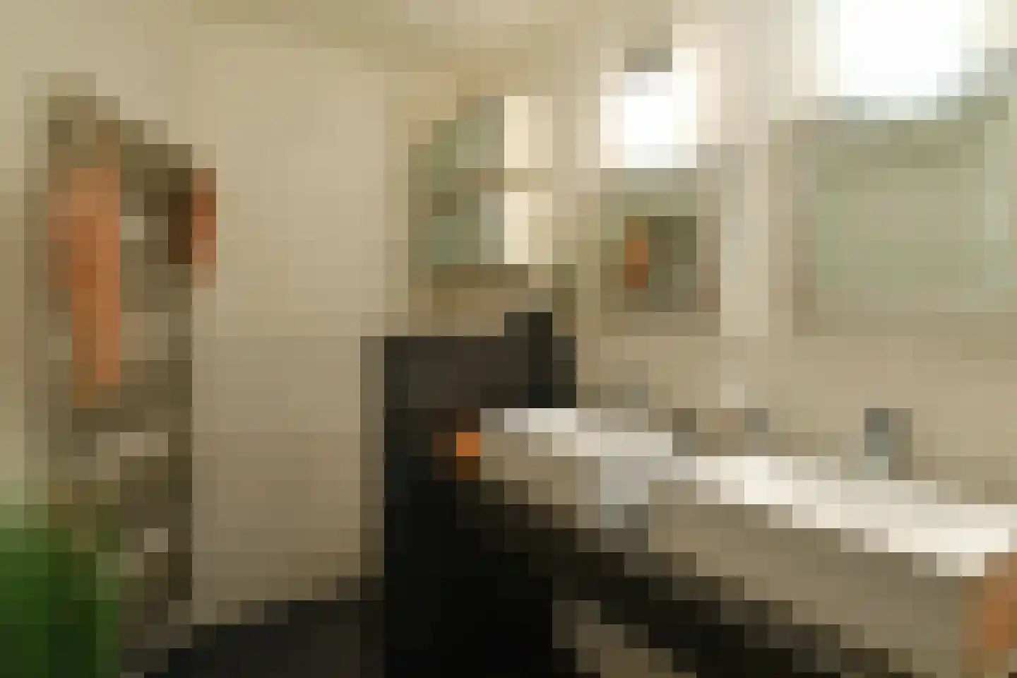 Badlaan 10 Doorwerth thumbnail 38