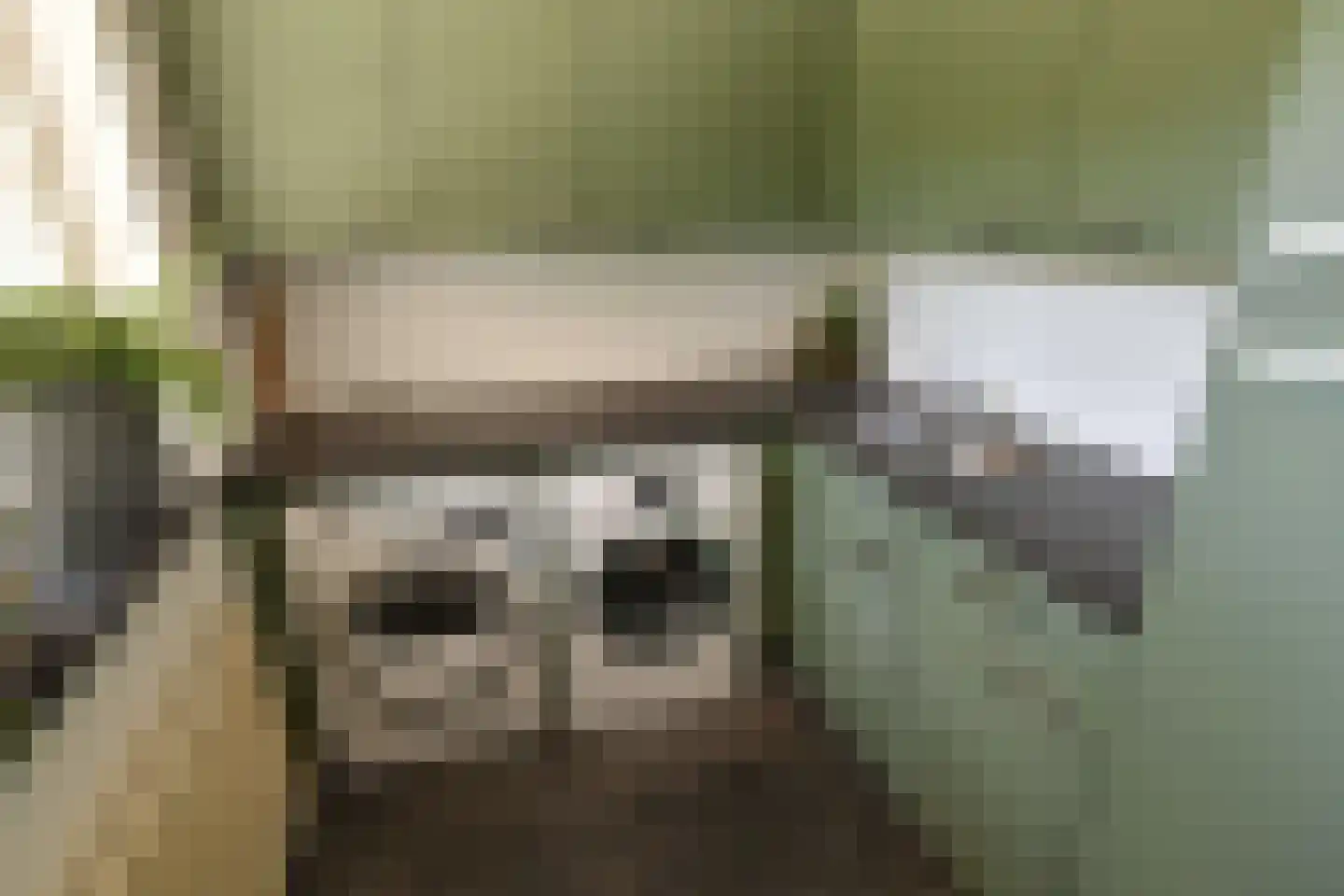 Badlaan 10 Doorwerth thumbnail 40