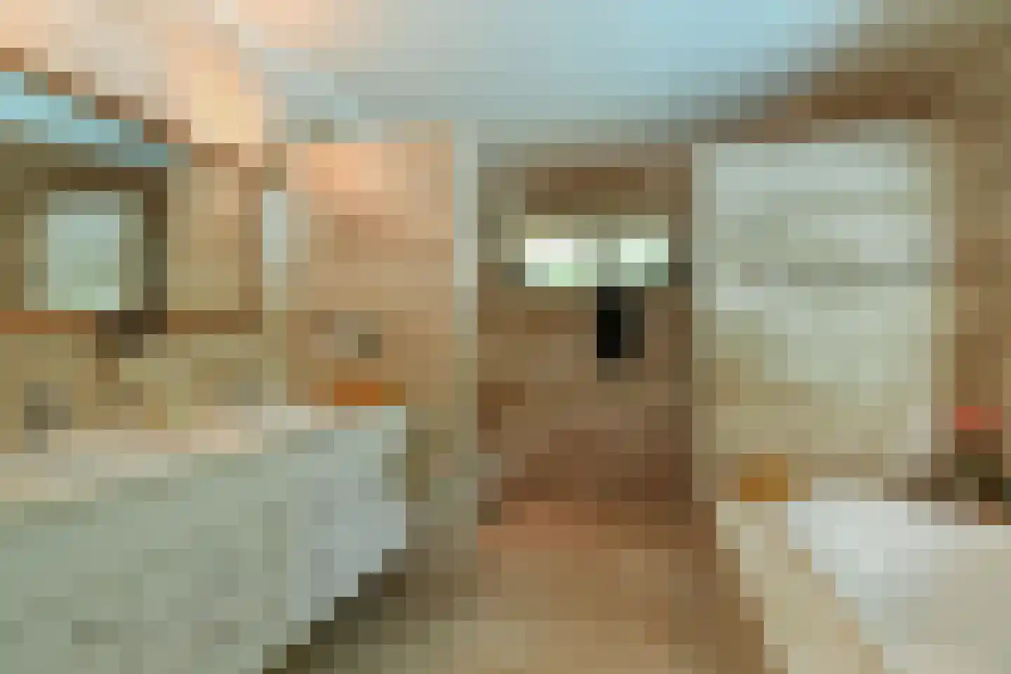 Badlaan 10 Doorwerth thumbnail 5