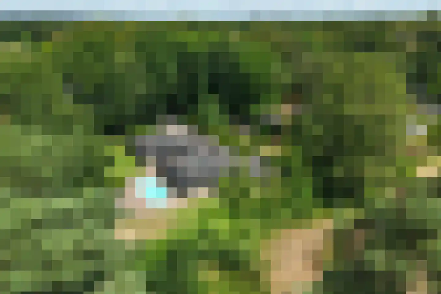 Badlaan 10 Doorwerth thumbnail 53