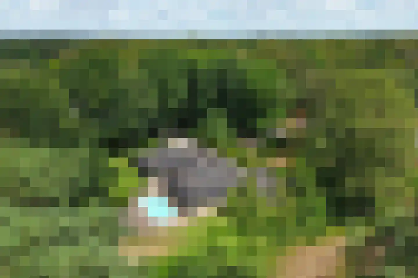 Badlaan 10 Doorwerth thumbnail 7