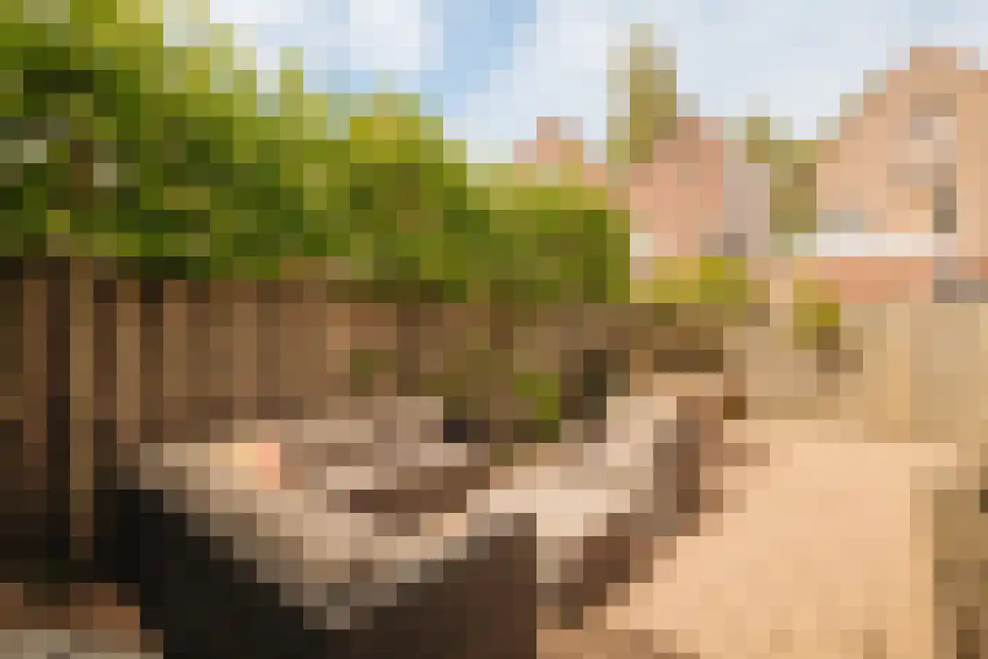 Badlaan 15 Amstelveen thumbnail 13