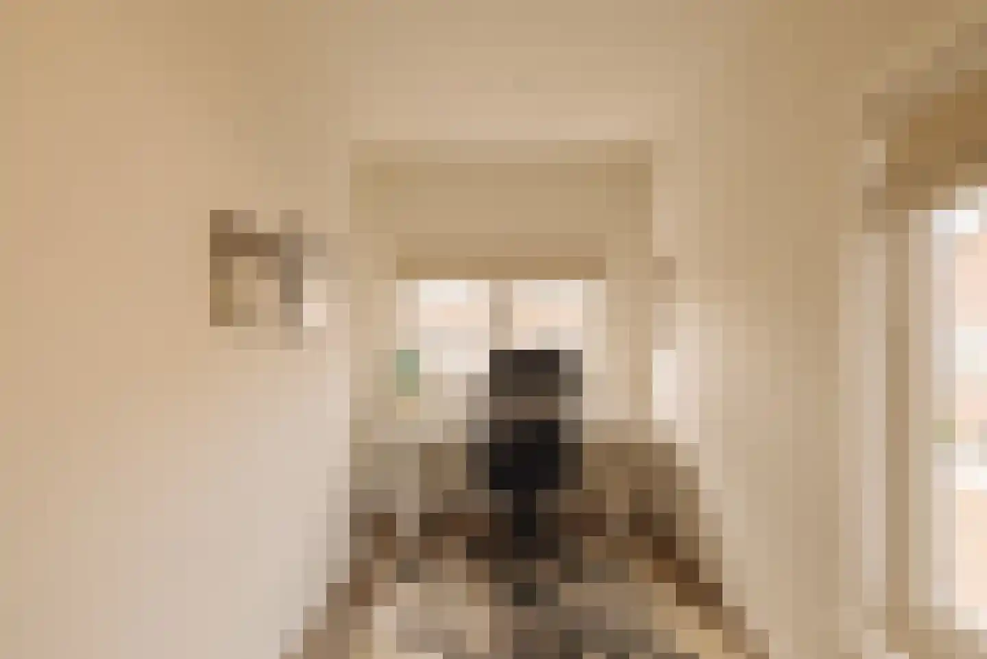 Badlaan 15 Amstelveen thumbnail 22