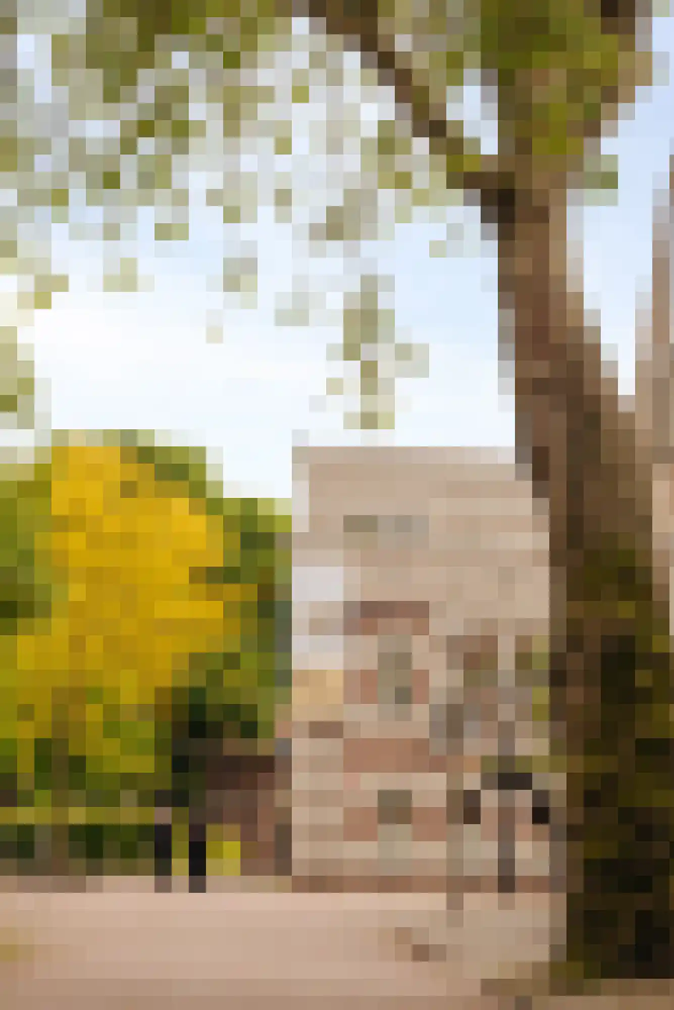 Badlaan 15 Amstelveen thumbnail 37