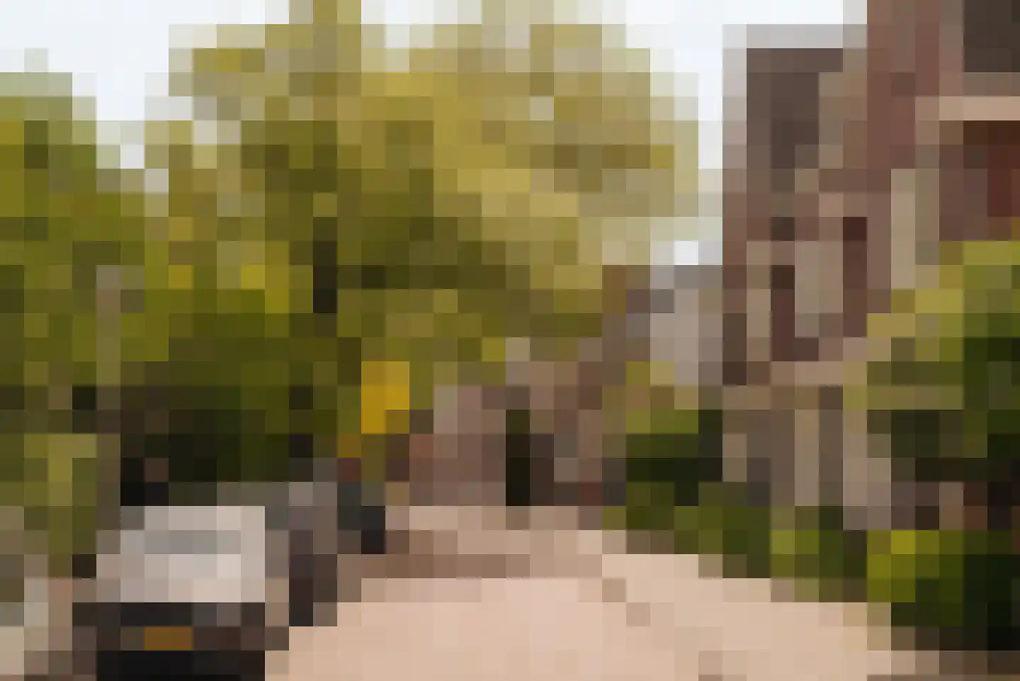 Badlaan 15 Amstelveen thumbnail 38