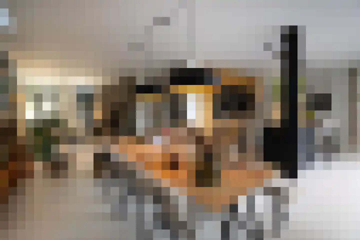 Badlaan 15 Muiderberg thumbnail 10