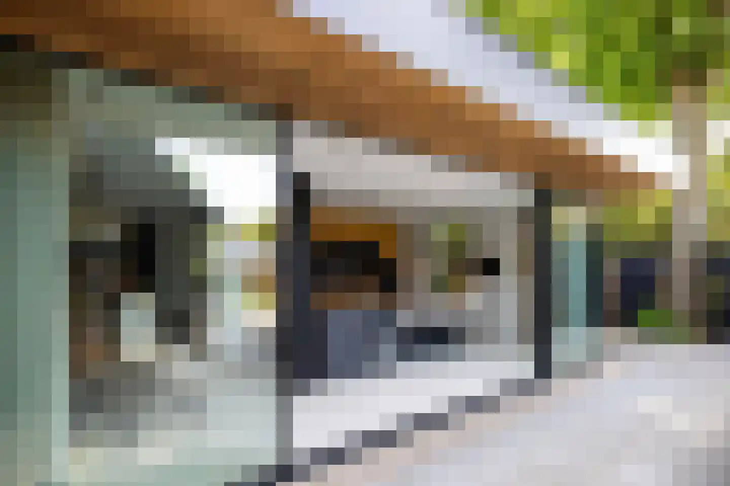 Badlaan 15 Muiderberg thumbnail 14
