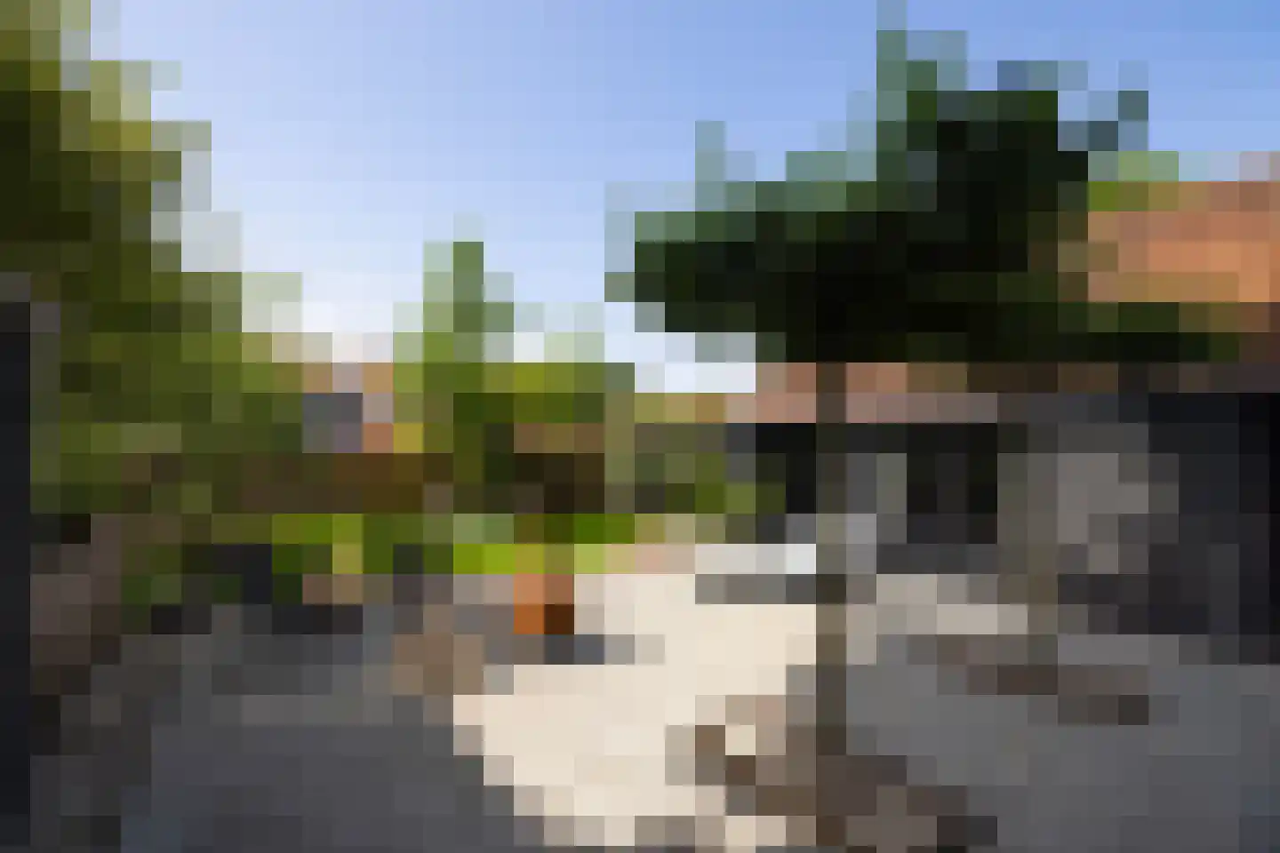 Badlaan 15 Muiderberg thumbnail 16