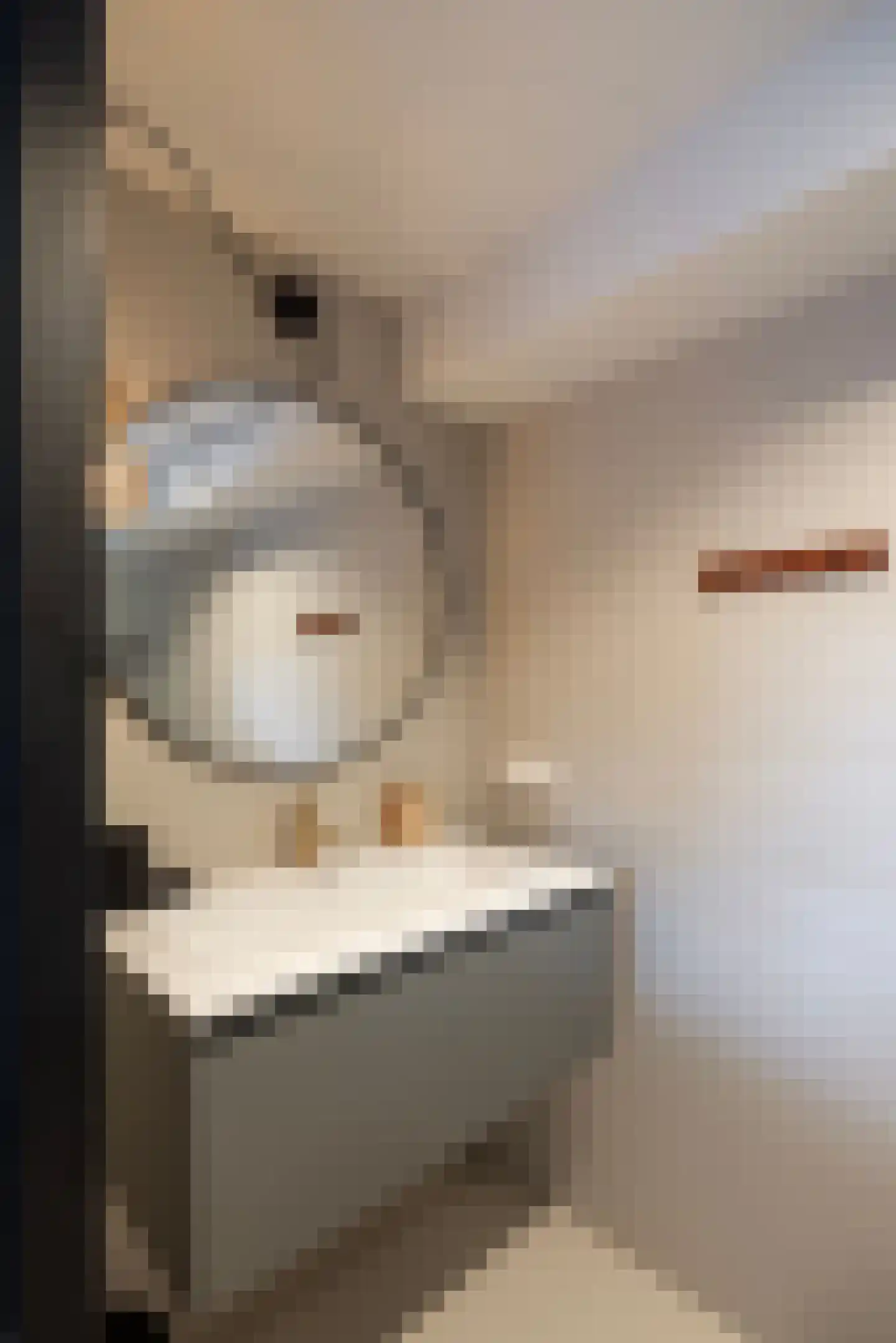 Badlaan 15 Muiderberg thumbnail 20