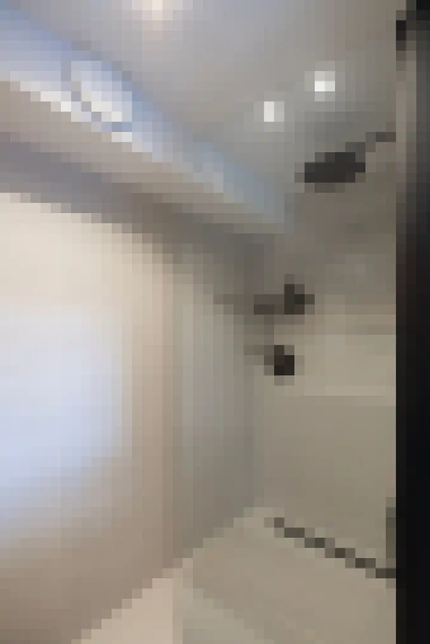 Badlaan 15 Muiderberg thumbnail 21