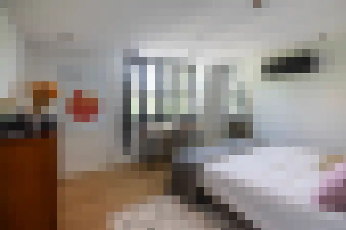 Badlaan 15 Muiderberg thumbnail 25