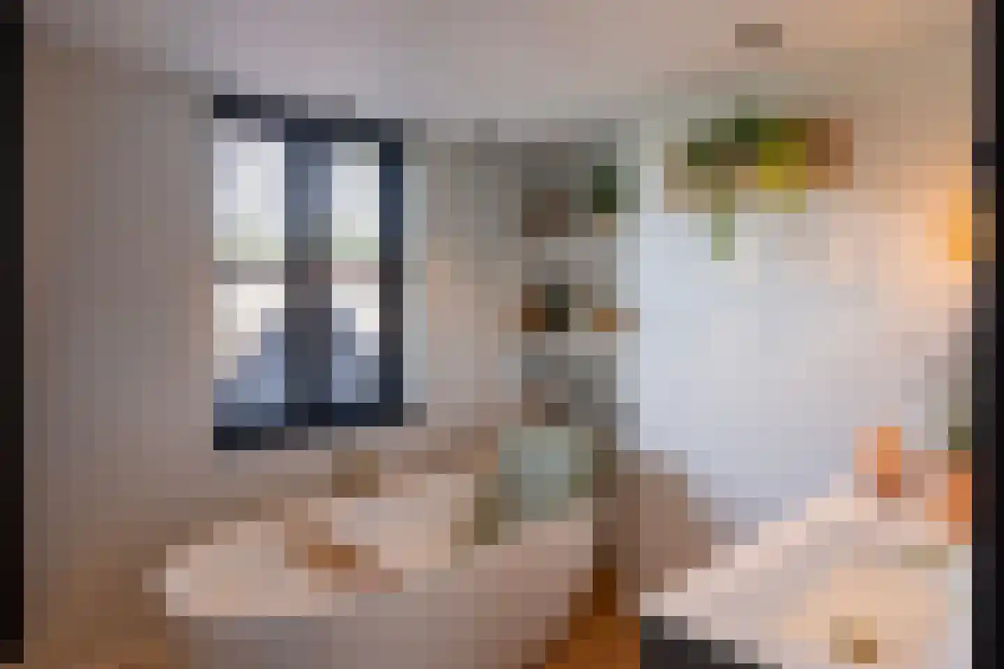 Badlaan 15 Muiderberg thumbnail 26