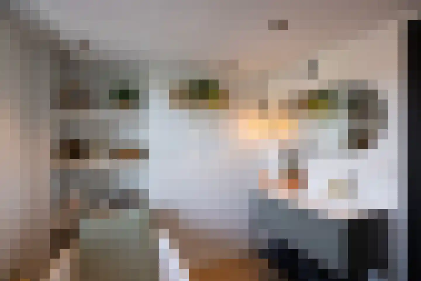 Badlaan 15 Muiderberg thumbnail 27