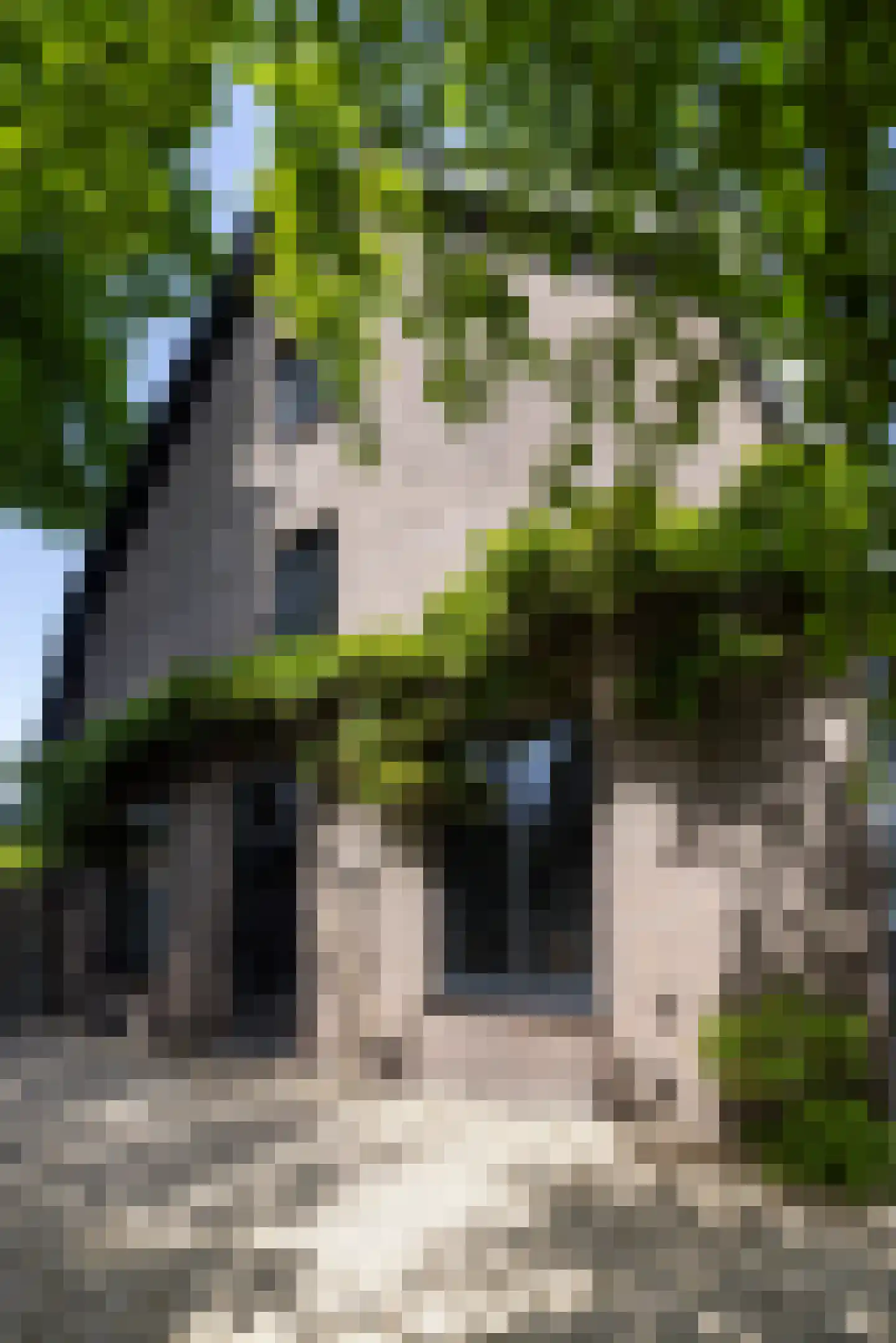Badlaan 15 Muiderberg thumbnail 38