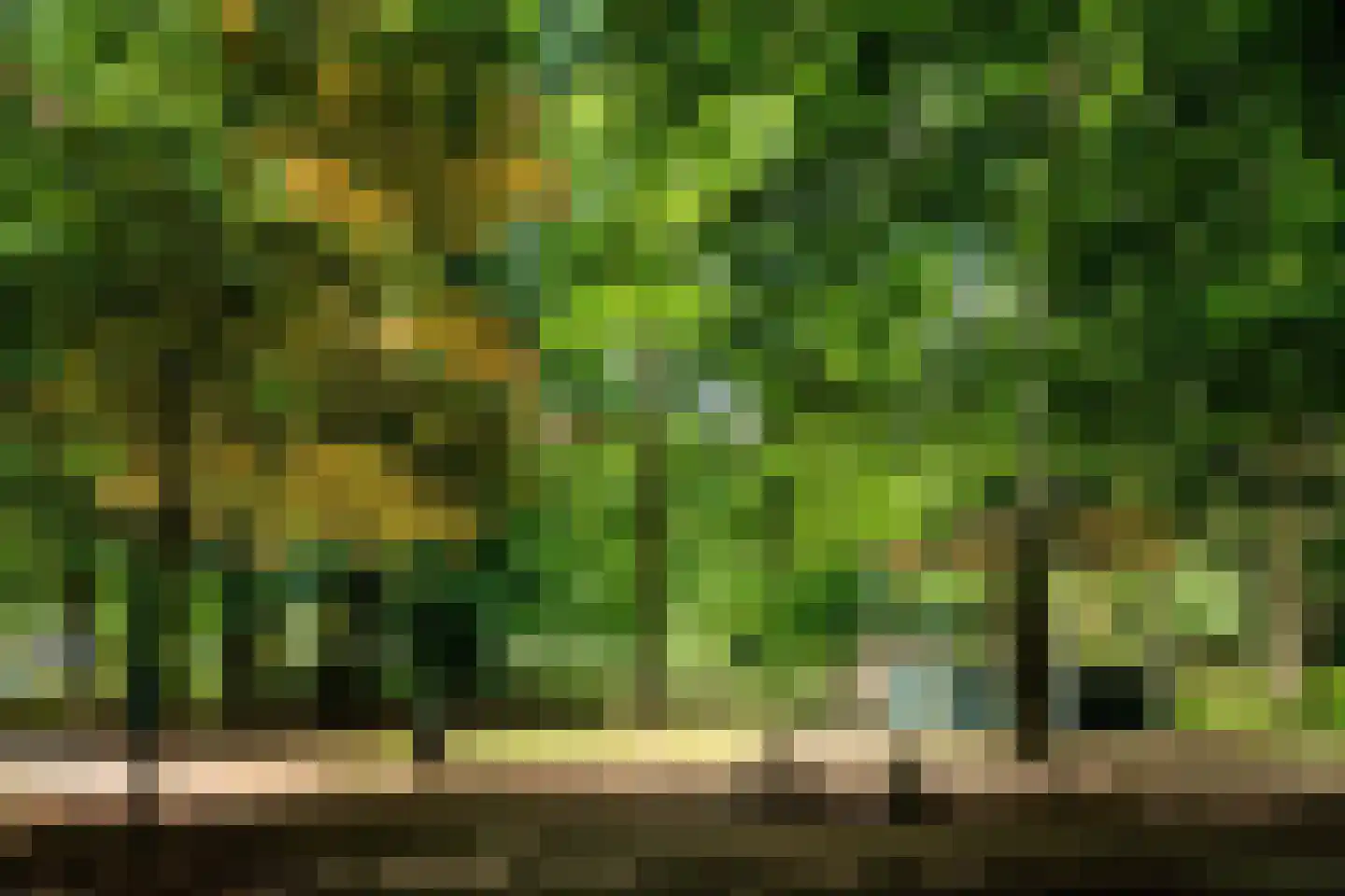 Badlaan 29 A Muiderberg thumbnail 101