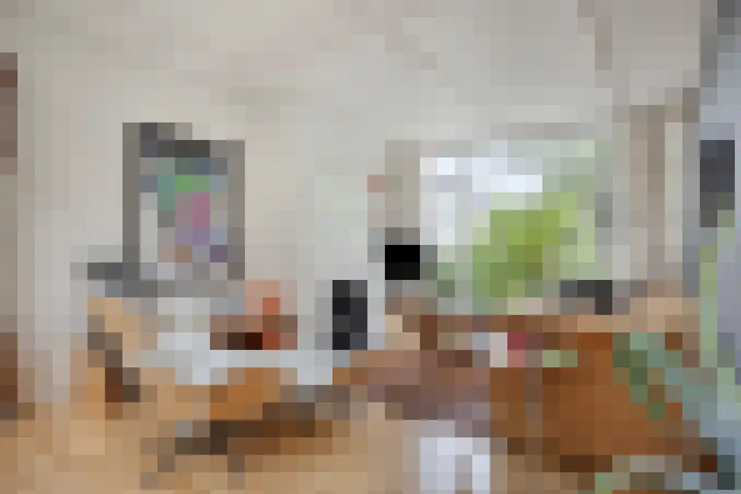 Badlaan 29 A Muiderberg thumbnail 16