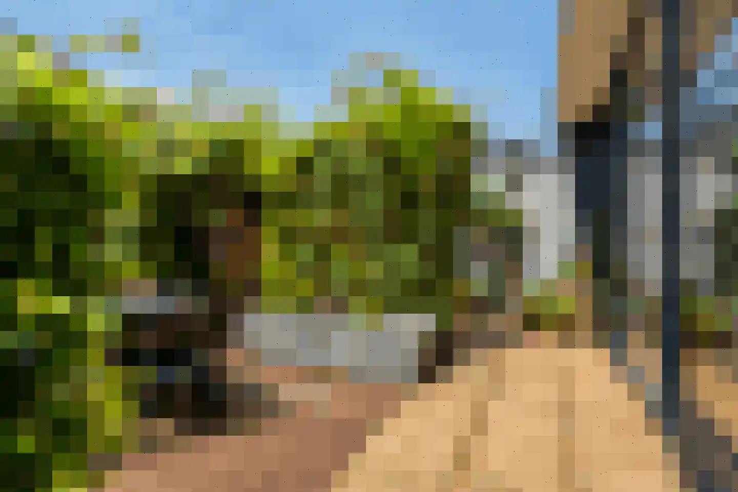 Badlaan 29 A Muiderberg thumbnail 27