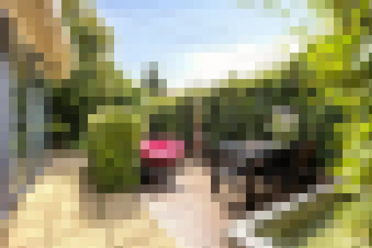 Badlaan 29 A Muiderberg thumbnail 29