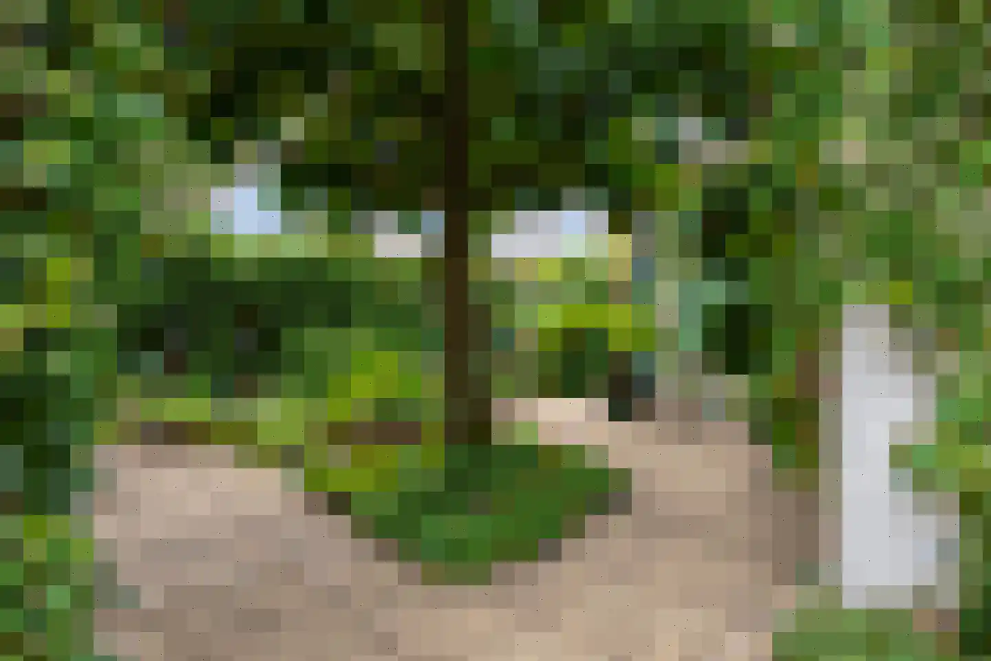 Badlaan 29 A Muiderberg thumbnail 31
