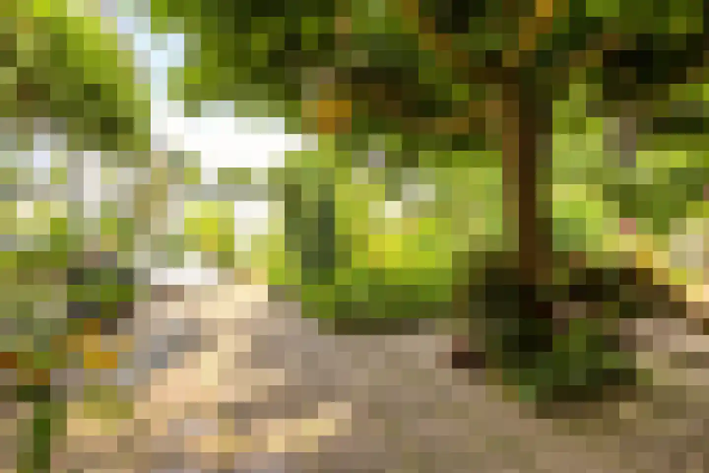 Badlaan 29 A Muiderberg thumbnail 46