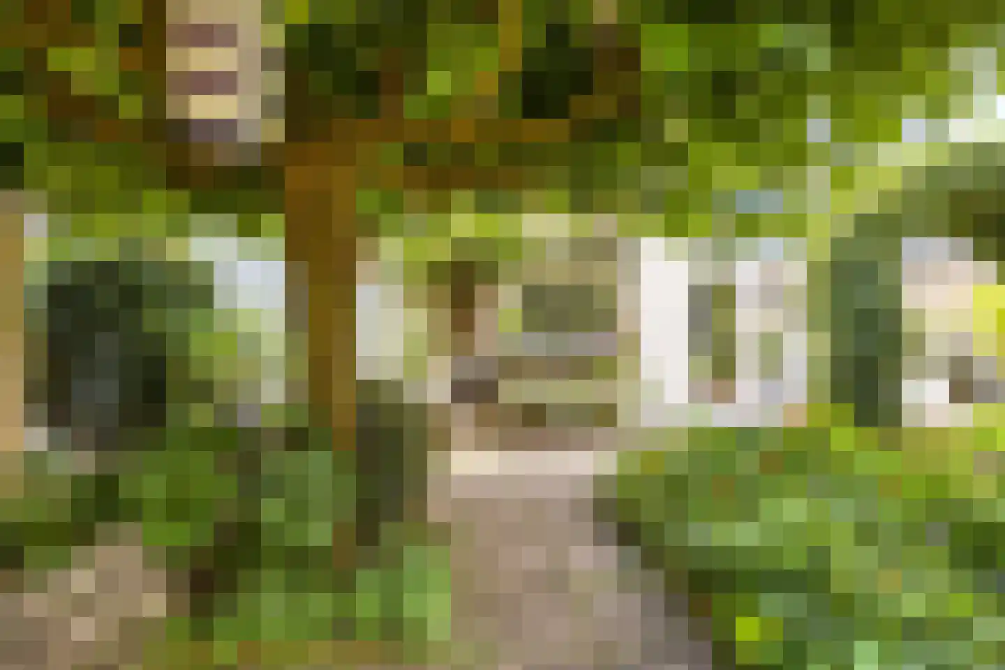 Badlaan 29 A Muiderberg thumbnail 47