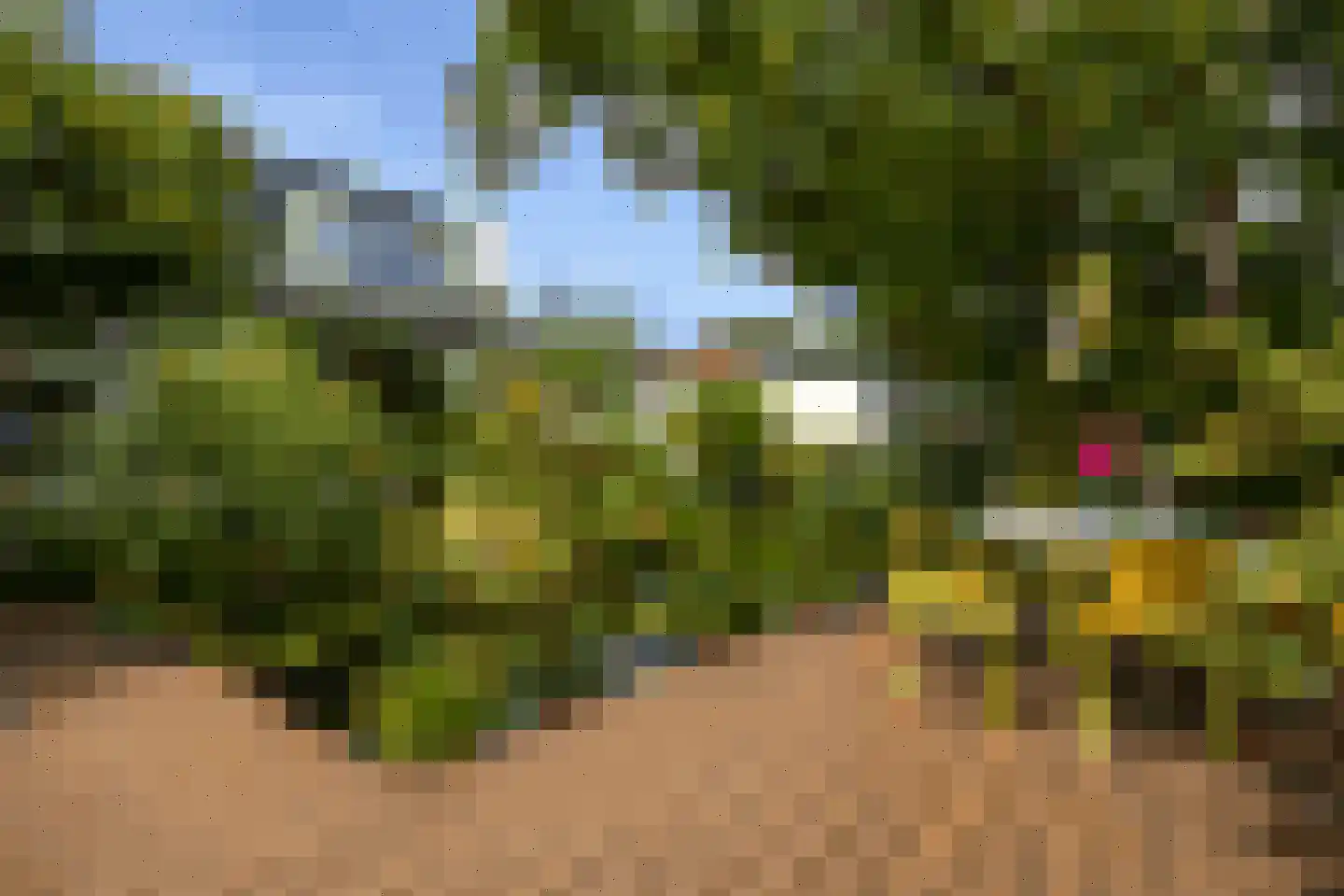 Badlaan 29 A Muiderberg thumbnail 48