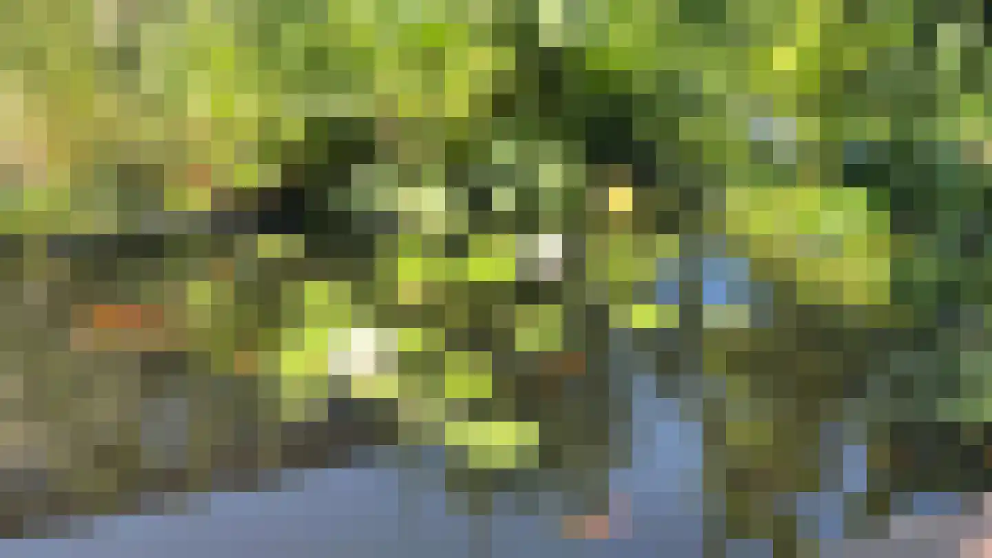 Badlaan 29 A Muiderberg thumbnail 50