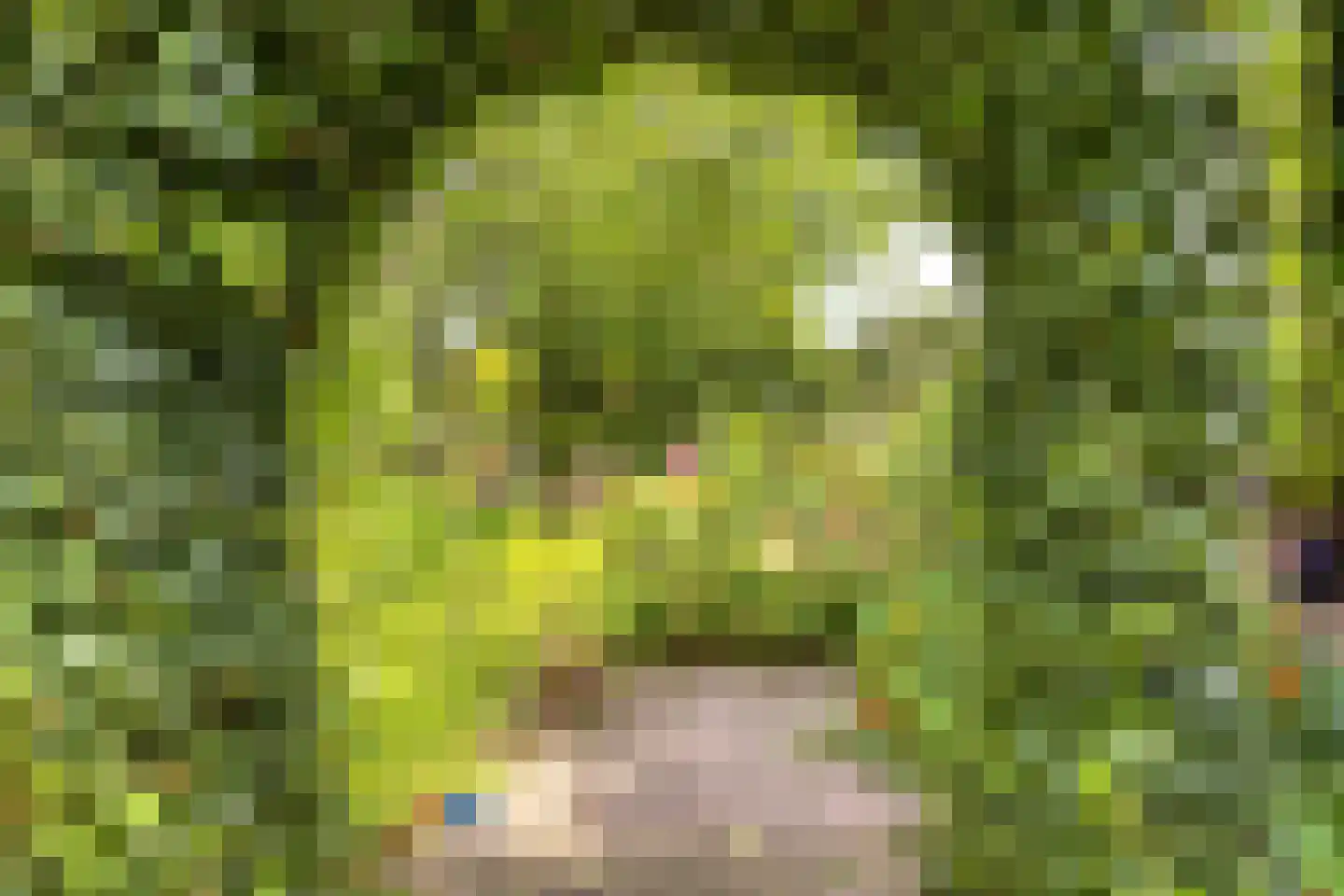 Badlaan 29 A Muiderberg thumbnail 53
