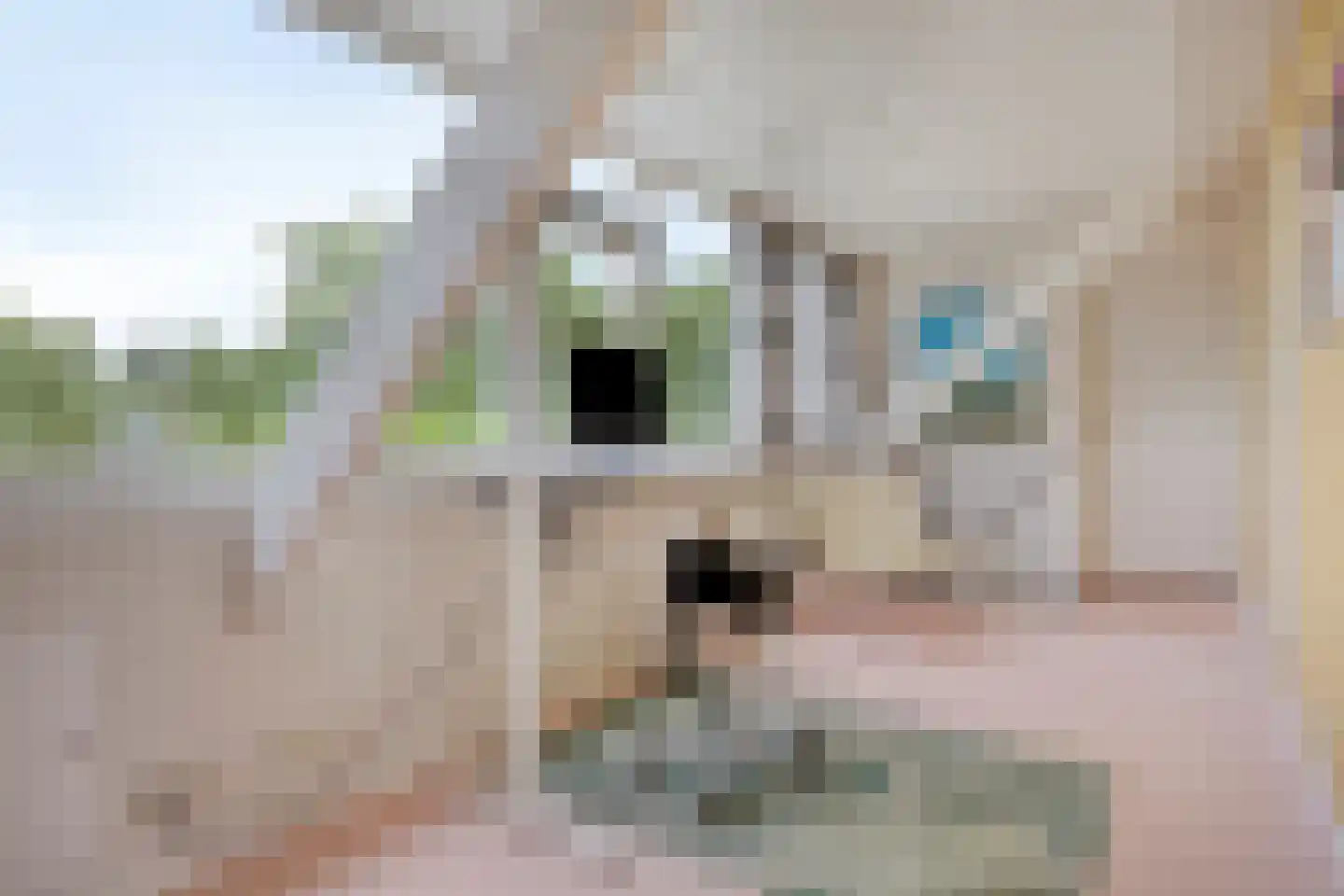 Badlaan 29 A Muiderberg thumbnail 55