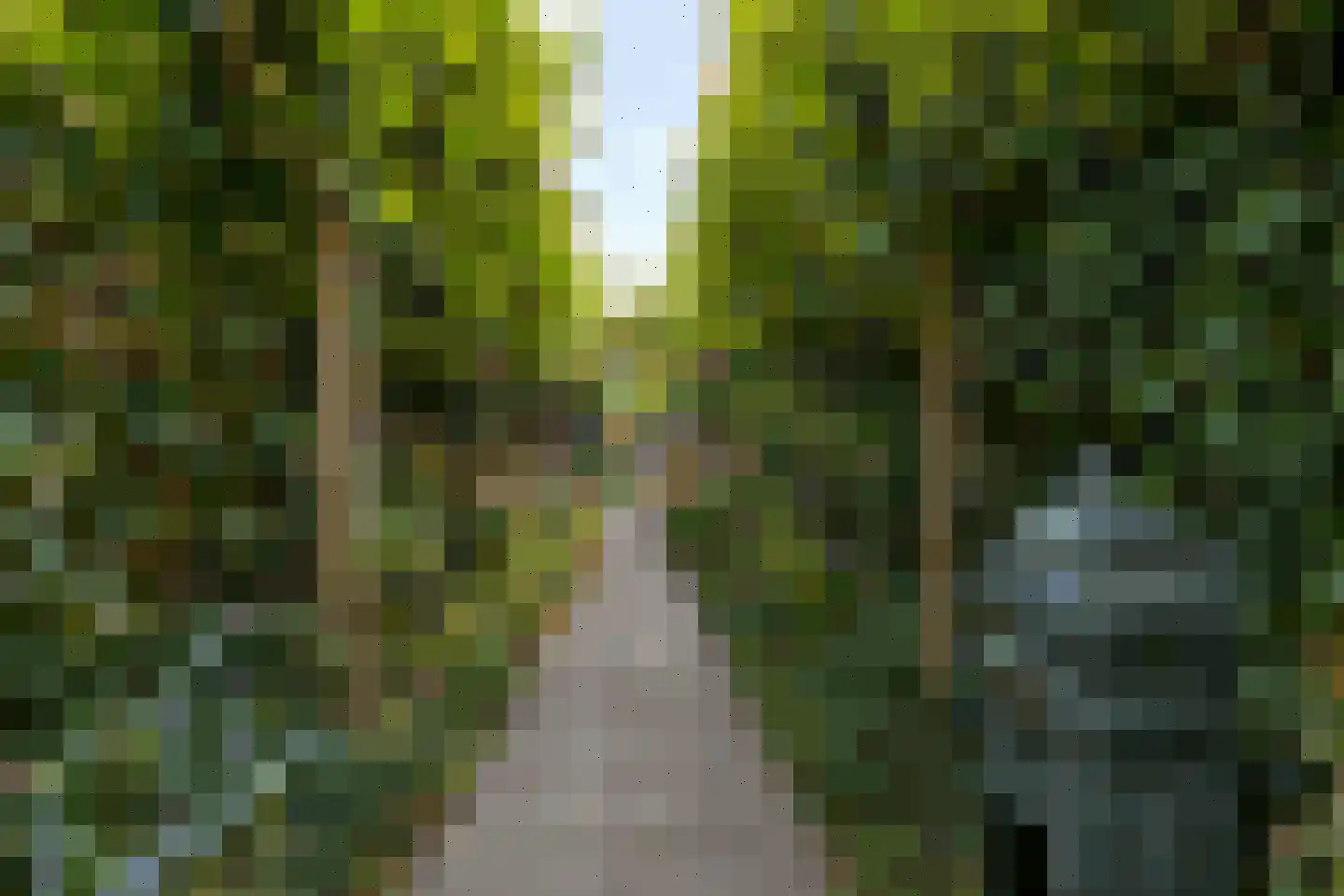 Badlaan 29 A Muiderberg thumbnail 6