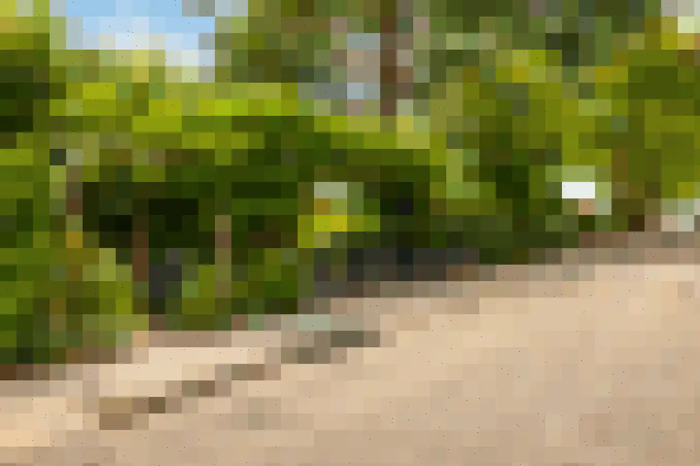 Badlaan 29 A Muiderberg thumbnail 69